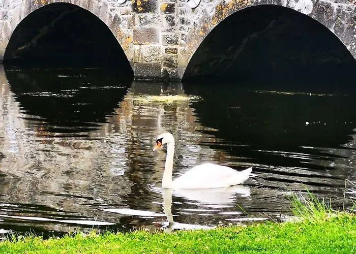 Westport Holiday Home Вэстпорт